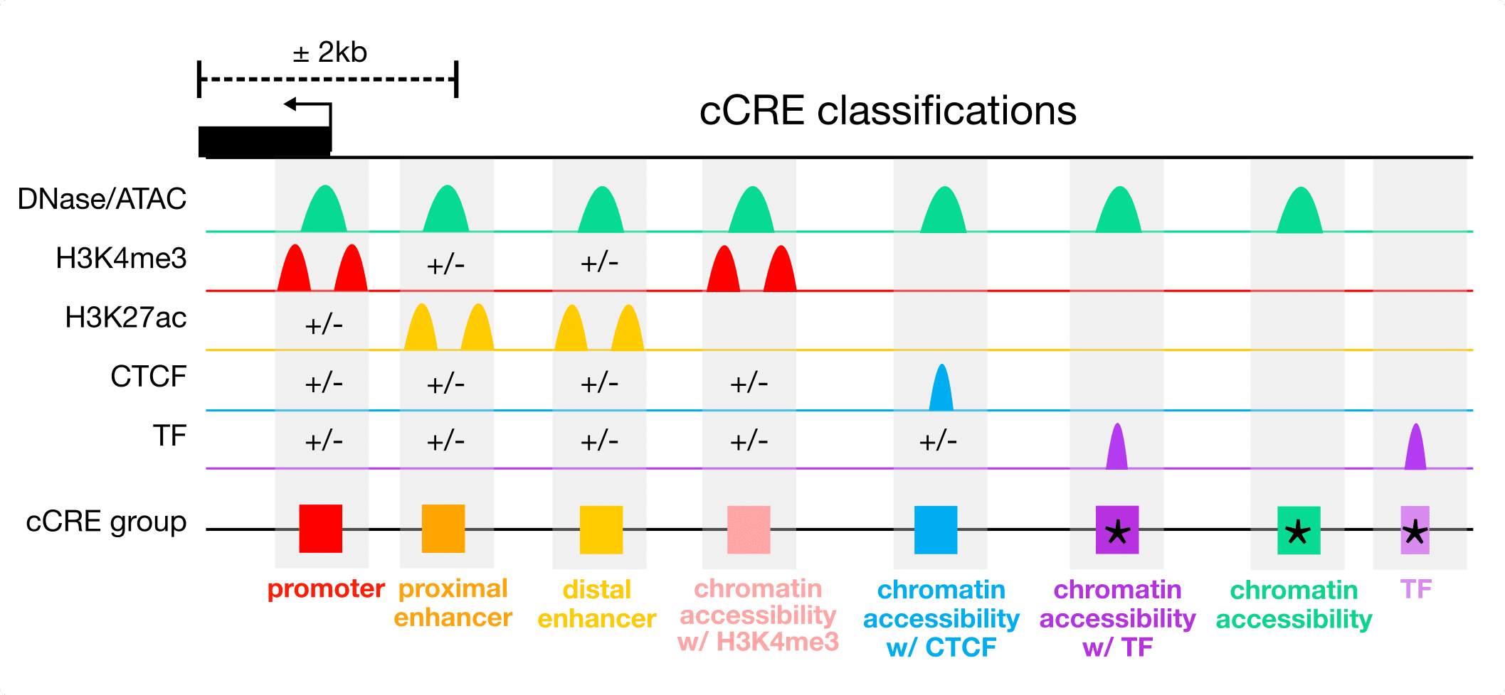 Classification of cCREs